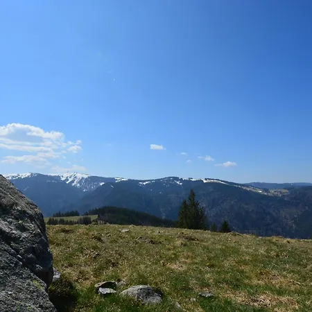 Blackfoxrest Apartamento *