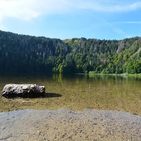 Apartment Blackfoxrest Feldberg (Baden-Wurttemberg)