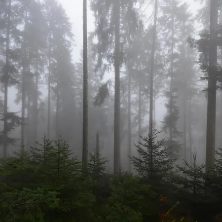 Blackfoxrest Apartamento *