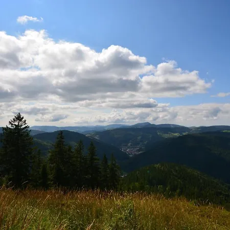 Apartamento Blackfoxrest *