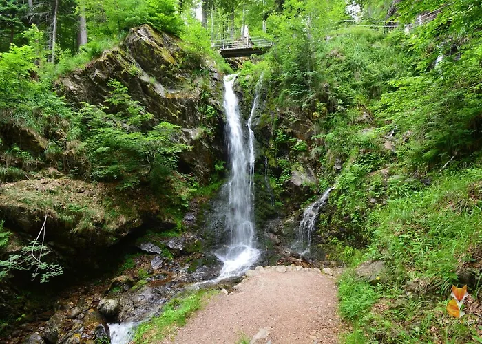 شقة Blackfoxrest *