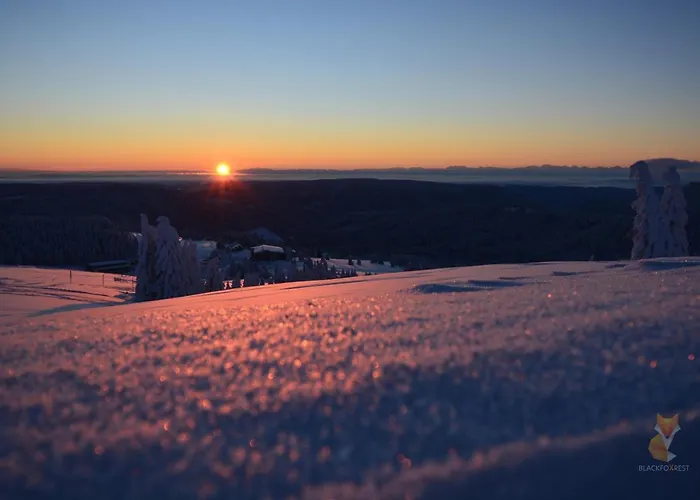 Blackfoxrest * فيلدبرج