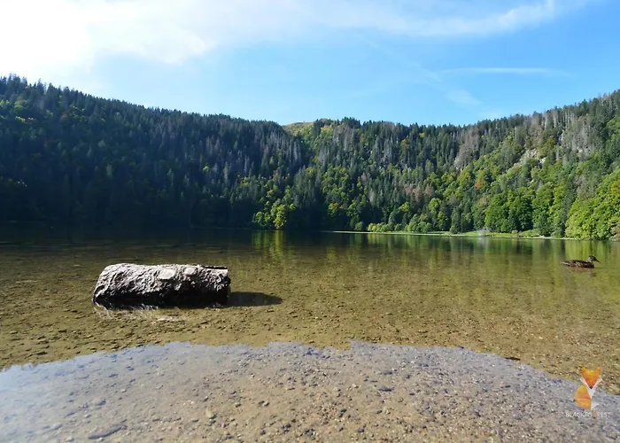 شقة Blackfoxrest فيلدبرج