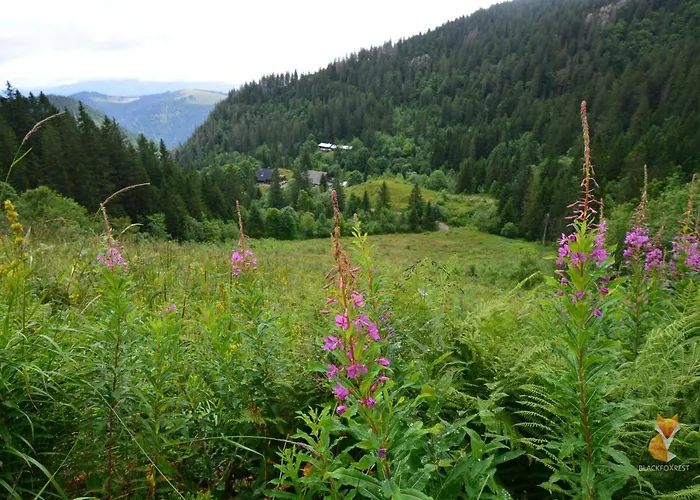 شقة Blackfoxrest فيلدبرج