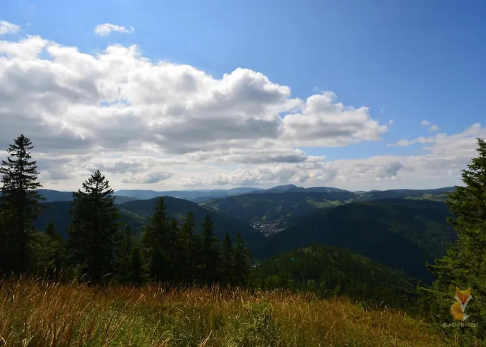 شقة Blackfoxrest *